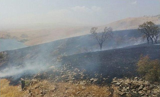 Elazığ’da Arazi Yangını Badem Ağaçlarına Da Zarar Verdi