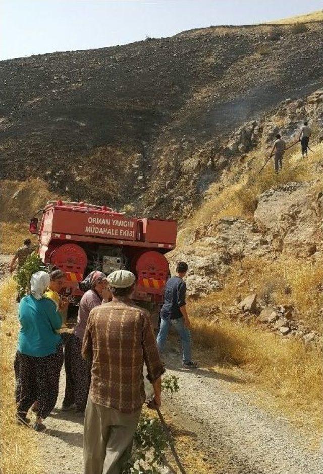 Elazığ’da Arazi Yangını Badem Ağaçlarına Da Zarar Verdi