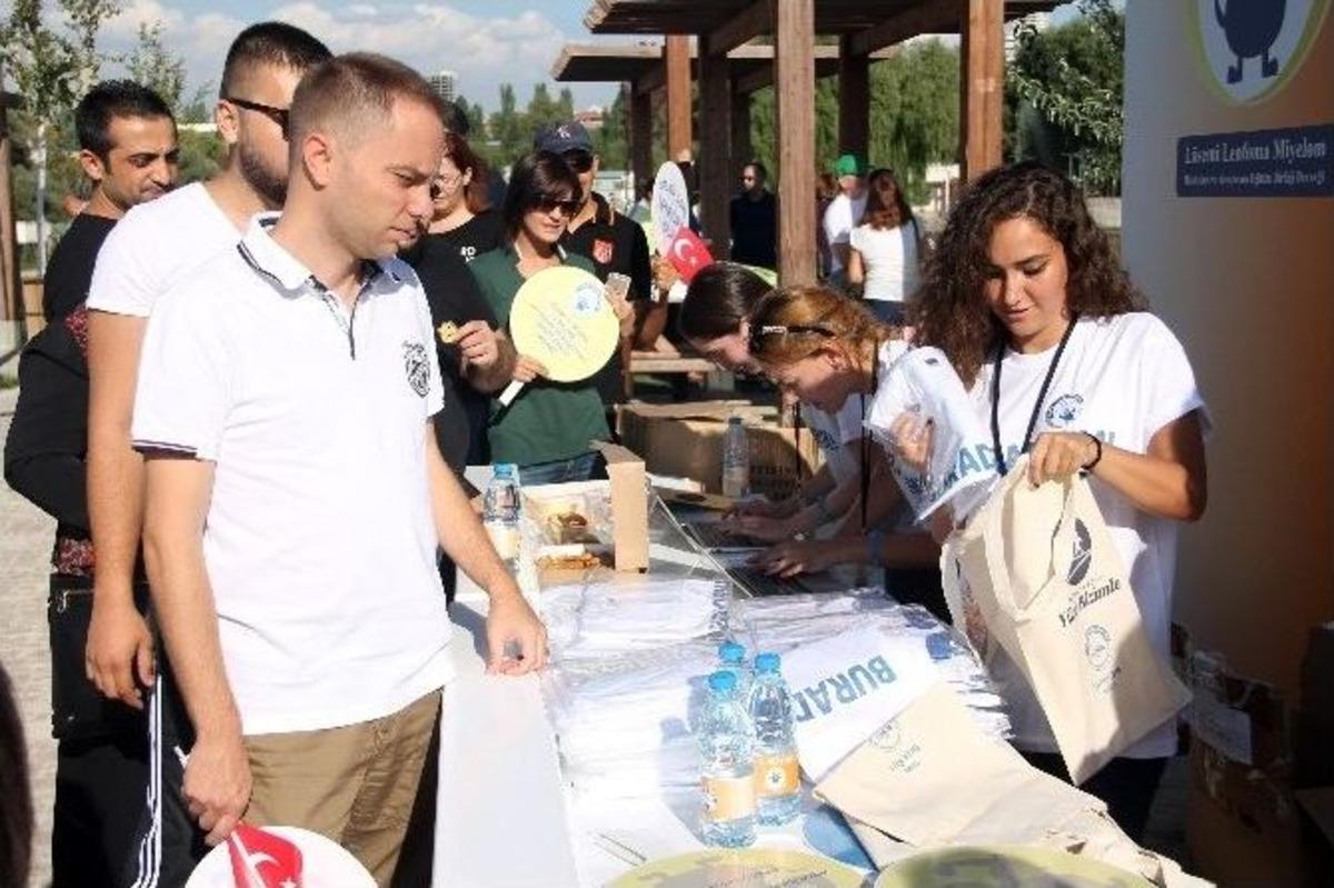 2. B&uuml;y&uuml;k Lenfoma Y&uuml;r&uuml;y&uuml;ş&uuml;
