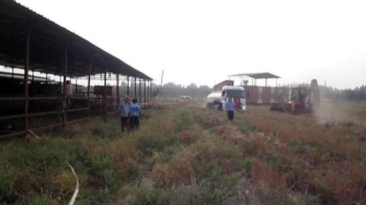 Adana&rsquo;da Anız Yangını &Ccedil;iftliğe Sı&ccedil;radı