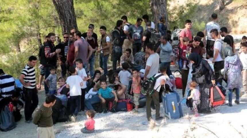 130 Syrian Migrants Found In Forestry, Seeking Seasonal Work In Aegean Province