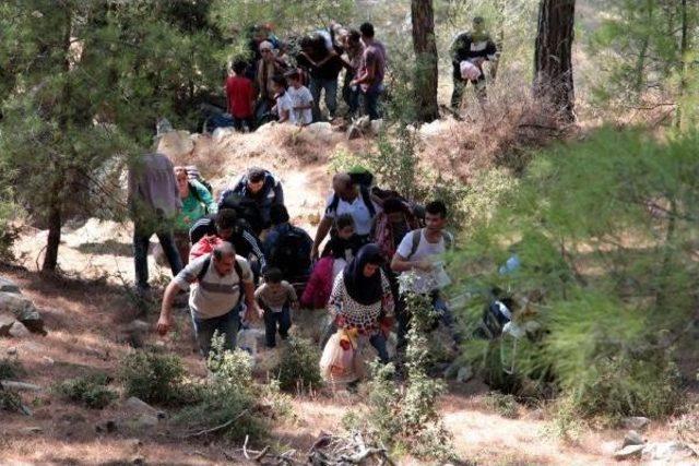 130 Syrian Migrants Found In Forestry, Seeking Seasonal Work In Aegean Province