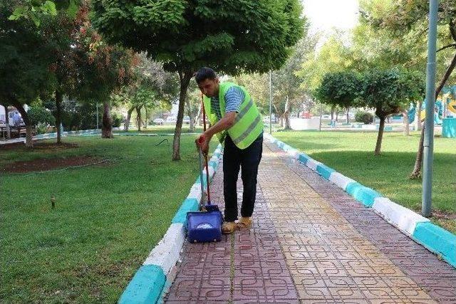 Parklarda Sonbahar Temizliği