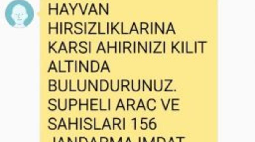 Jandarmadan Hayvan Hırsızlığı Uyarısı