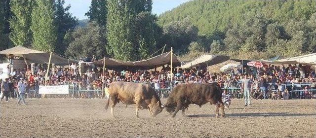 İspanyayı Aratmayacak G&ouml;r&uuml;nt&uuml;ler 2