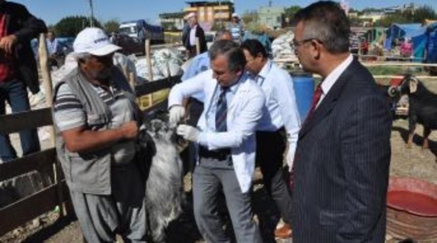 Y&uuml;reğir&rsquo;de Kurban Kesim Ve Satış Noktaları Belirlendi
