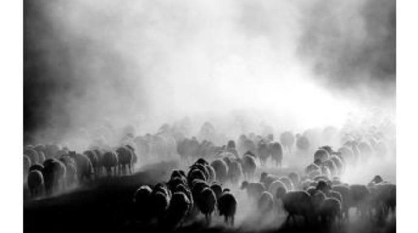 Ter&ouml;ristler Yaylalardaki &Ccedil;obanları Tuzağa D&uuml;ş&uuml;r&uuml;yor