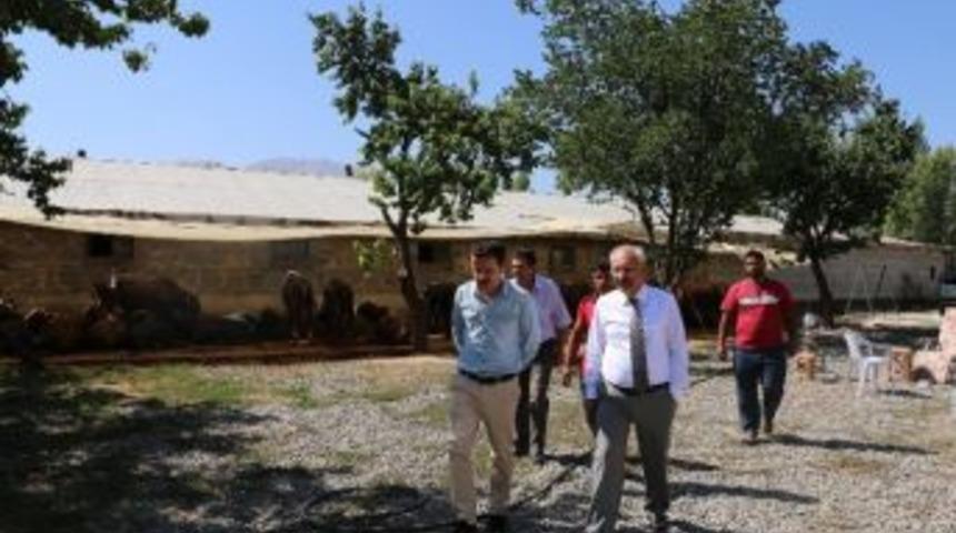 İl M&uuml;d&uuml;r&uuml; Yılmaz Kurbanlık Hayvan Satış Ve Kesim Yerlerini Denetledi