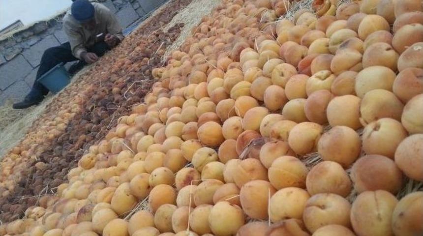 Mahallelerde Kış Hazırlığı