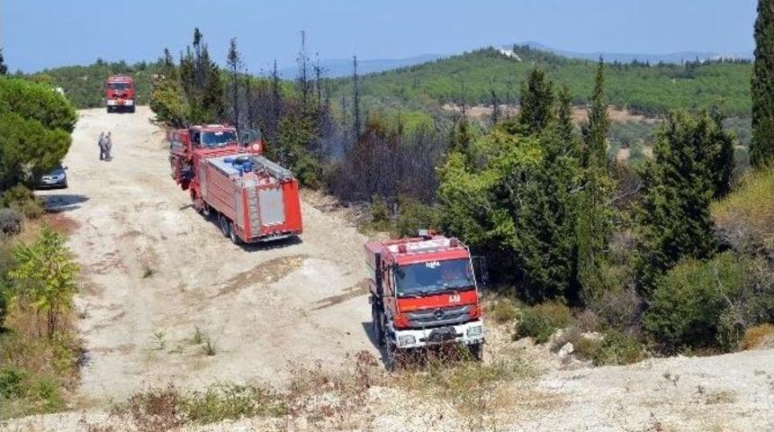 Aliağa&rsquo;da Orman Yangını