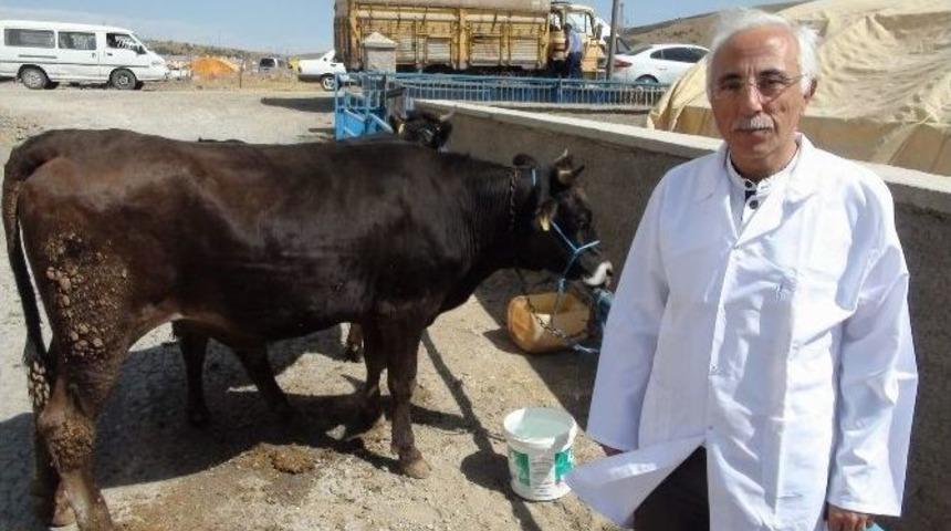 Kurban Alacaklar Nelere Dikkat Etmeli