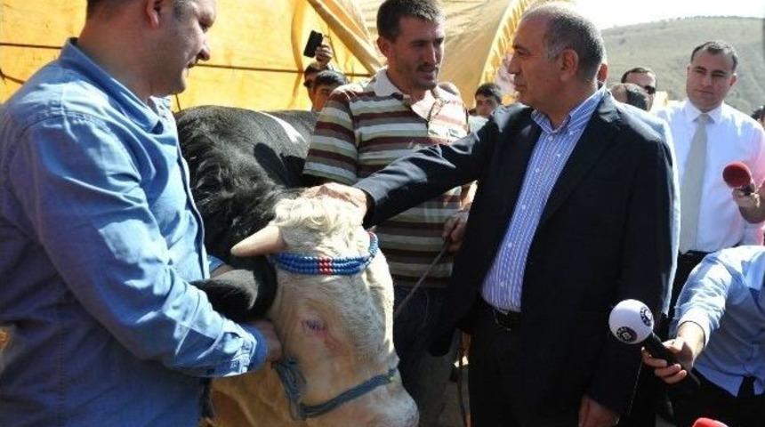 Chp Genel Sekreteri Tekin, Kurbanlık Hayvan Satış Ve Kesim Yeri&rsquo;ni Ziyaret Etti