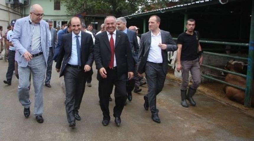 Bursa&rsquo;da Ka&ccedil;an Boğaları Yakalama Timi Kuruldu