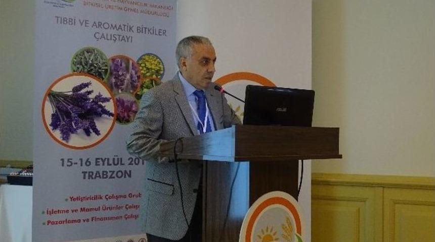 Trabzon&rsquo;da Tıbbi Ve Aromatik Bitkiler &Ccedil;alıştayı