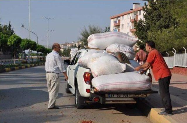 Kamyonetten Yola Savrulan Çuvallar Zor Anlar Yaşattı