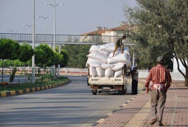 Kamyonetten Yola Savrulan Çuvallar Zor Anlar Yaşattı