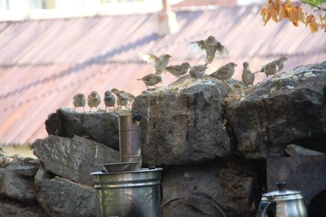 Erzurumlu Hayvan Severden &Ouml;rnek Davranış