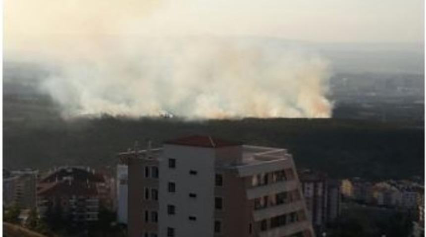 Odt&uuml; Ormanlarında Korkutan Yangın