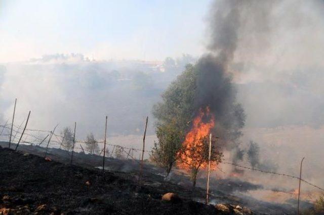 Köydeki Yangına Itfaiye Ile Birlikte Toma'lar Da Müdahale Etti