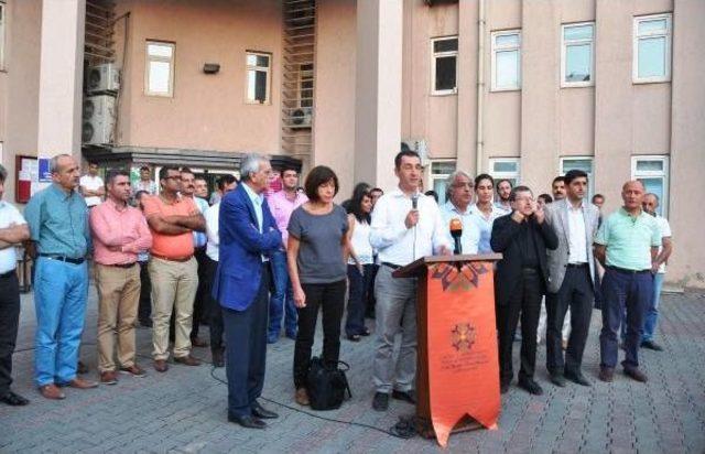 Alman Yeşiller Heyeti Cizre'de: Silahlar Hemen Sussun (2)