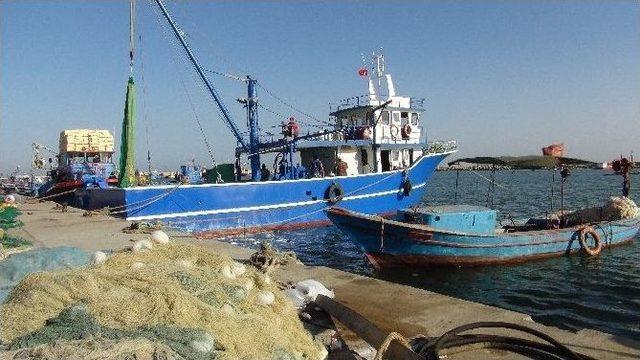 Mersin’de Balık Sezonu Törenle Açıldı