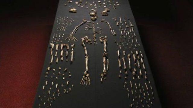 “Homo Naledi”: İnsanlığın Evrim Yolculuğunun Yeni Üyesi