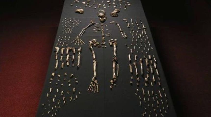 &ldquo;Homo Naledi&rdquo;: İnsanlığın Evrim Yolculuğunun Yeni &Uuml;yesi
