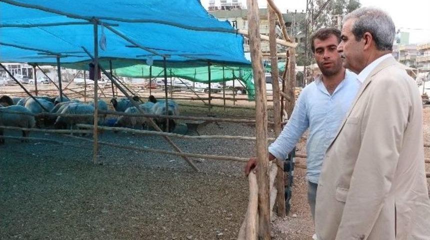 Başkan Demirkol Kurban Satış Ve Kesim Yerlerini Denetledi