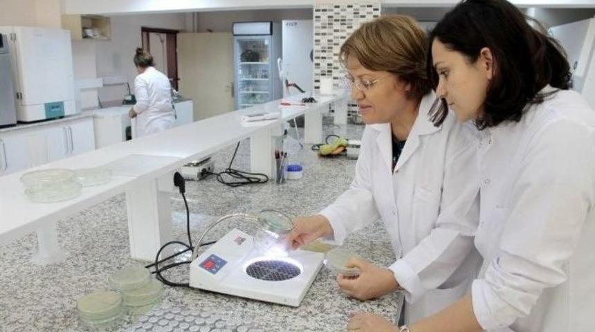 Gıda M&uuml;hendisliği B&ouml;l&uuml;m&uuml; Doğal Biyokoruyucu Geliştirdi
