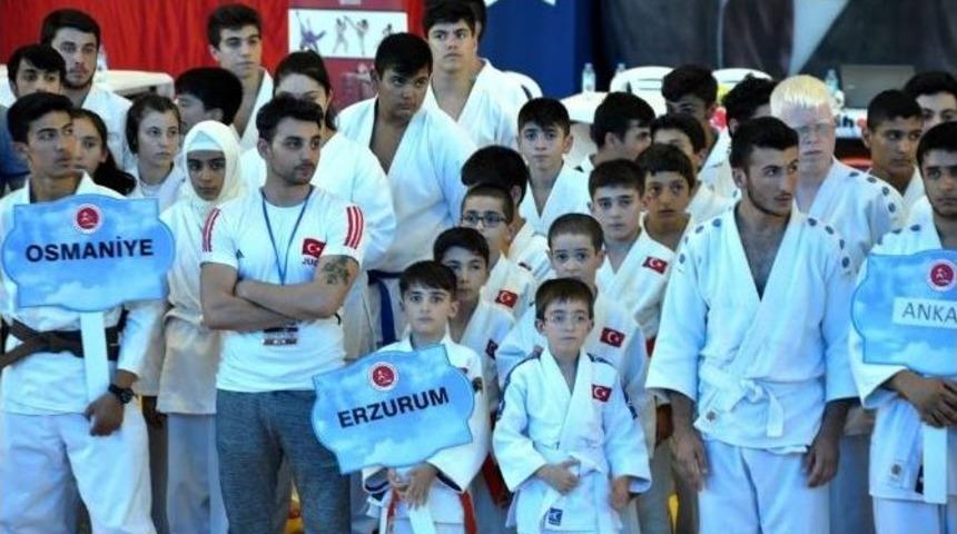 Jiu-jitsu&rsquo;da 14 Altın Madalya