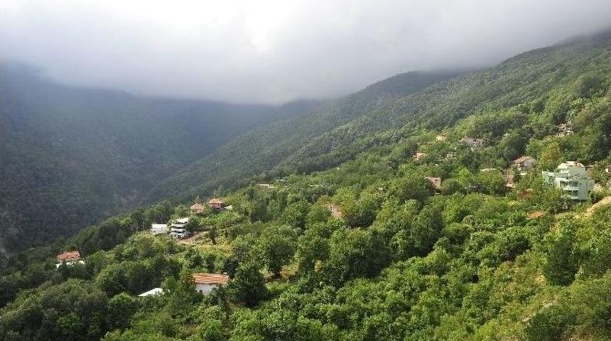 Turizmin Parlayan Yeni Yıldızı Zeyniler