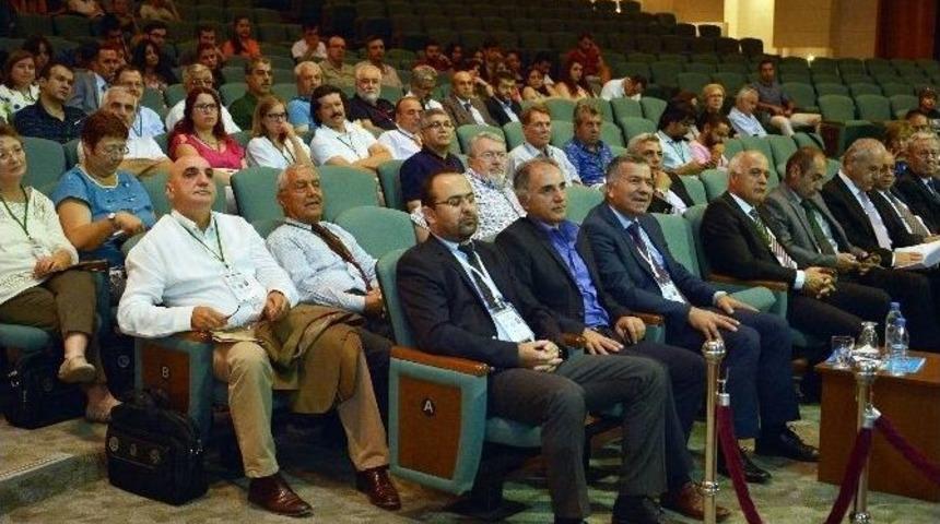 Bitki Ve Hayvan T&uuml;rleri Azalıyor