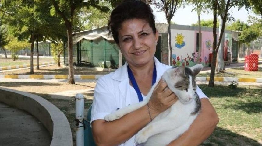 Hayvan Dostlarından Barınağa Mama Desteği