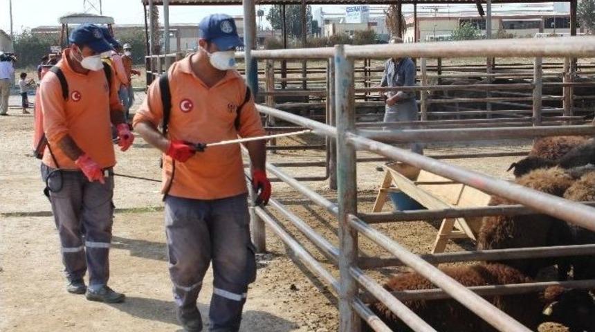 Kurbanlık Hayvan Pazarı İla&ccedil;lanıyor