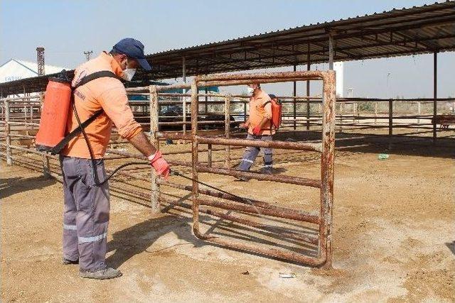 Kurbanlık Hayvan Pazarı İla&ccedil;lanıyor 1