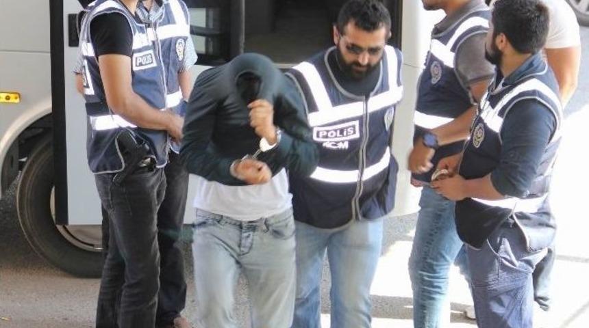 Sivas&rsquo;ta Bonzai Satıcılarına Y&ouml;nelik Operasyon: 11 G&ouml;zaltı
