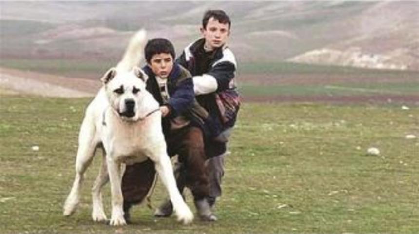 "sivas" Named Turkey&rsquo;S Nominee For Oscars