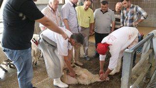 Serinhisar’da Kurban Kesim Kursu Tamamlandı