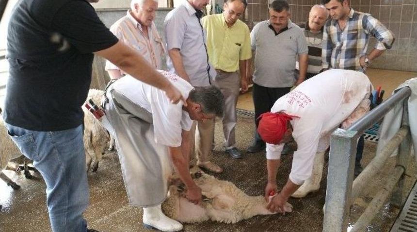 Serinhisar’da Kurban Kesim Kursu Tamamlandı