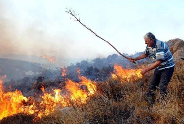 Bodrum'da Korkutan Yangın