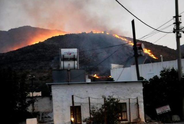 Bodrum'da Korkutan Yangın