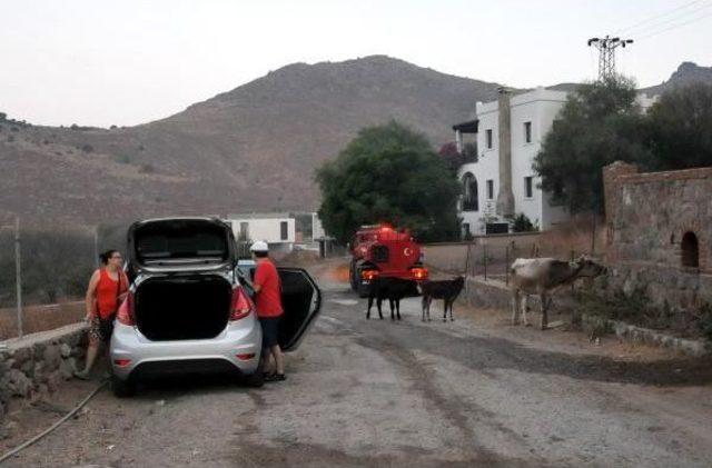 Bodrum'da Korkutan Yangın