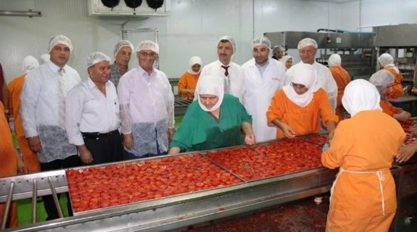 Vali Bektaş Gıda &Uuml;retim İşletmelerinde İncelemelerde Bulundu