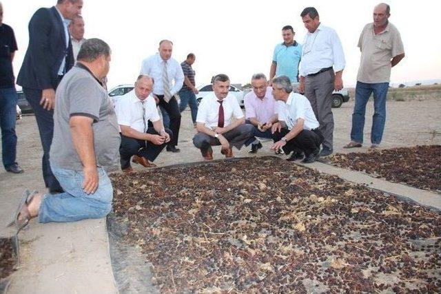 Vali Bektaş Gıda Üretim İşletmelerinde İncelemelerde Bulundu