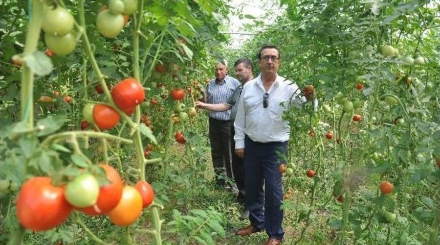 İneg&ouml;l&rsquo;&uuml;n Geleceği Meyvecilik