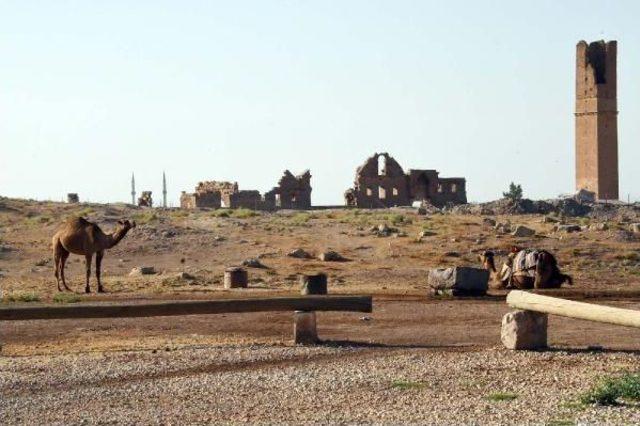 Şanlıurfa Valisi Şehit Ailesini Ziyaret Etti