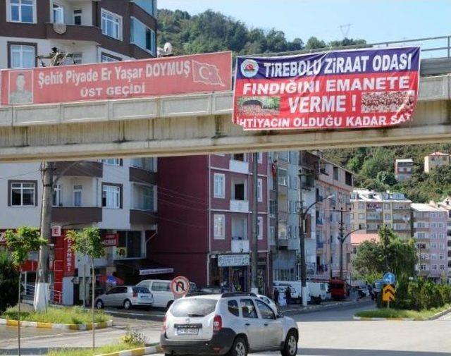  emanete Fındık Vermeyin  Dediler, Dinleyen Olmadı 2