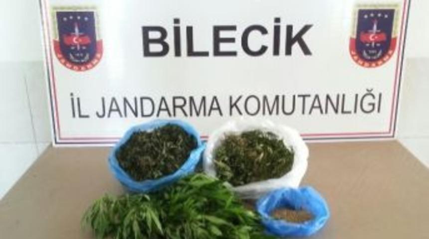 Jandarma Yarım Kilo Kubar Esrar Ele Ge&ccedil;irdi