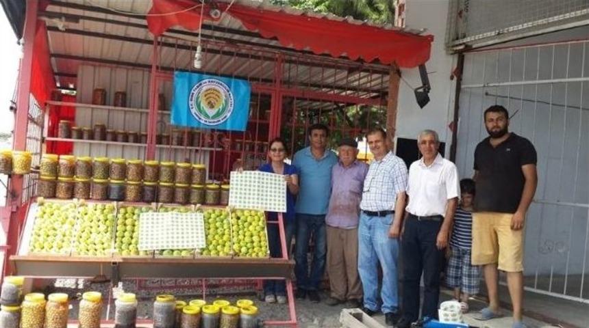 Kuyucak Ve Buharkent İncir Ek&uuml;y &Uuml;reticilerine Sertifikaları Dağıtıldı