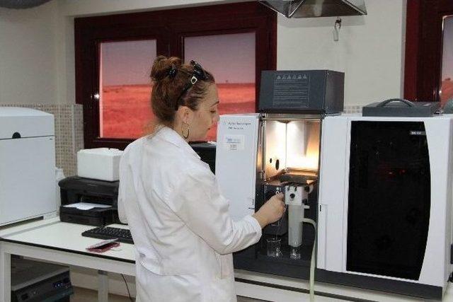 Kokulu Silgilere Dikkat 2